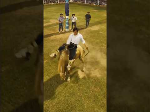 Festival de doma y Folklore Sábado 7 de febrero Juan Llerena (SL) Estancias y Tradiciones