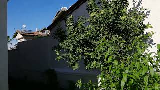 Şafak apart otel gösterim