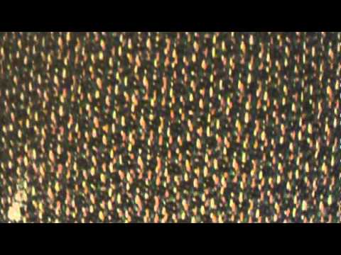 La Quinta Inn, Anderson SC, = filthy room