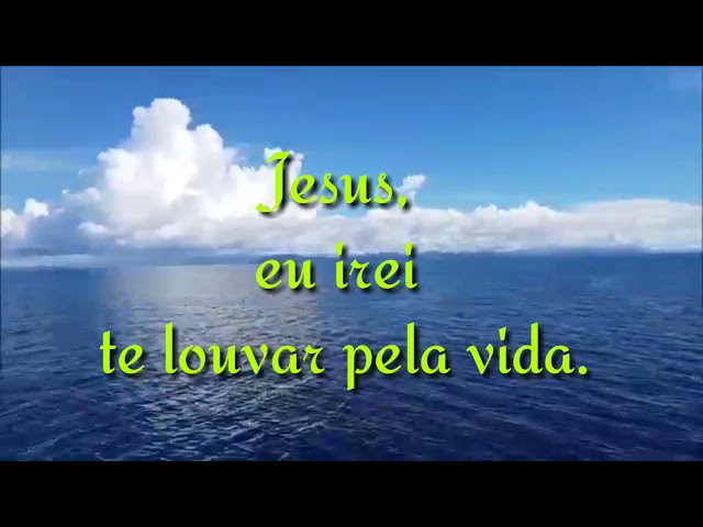 Preview do vídeo