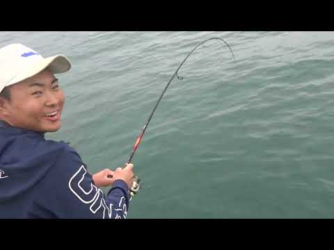 Hirakata Port Daieimaru 2023.11/2 Patrón de pesca Hitotsu Tenyamadai