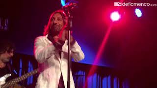 Antonio Carmona &quot;Me encanta&quot; en Flamenco on Fire