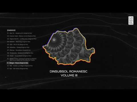 Strigoi - Ploaia (Original Mix) [DNSR003]