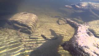 preview picture of video 'Under Cedarstrip Canoe: Six Mile Lake'