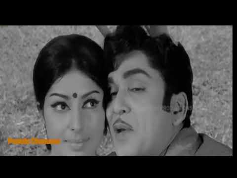 ఎవరు నీవు నీ రూపమేది | Evaru Neevu Nee Rupamedi | Song | Premalu Prellillu (1974)