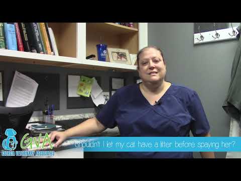 Why Spay & Neuter FAQ with Dr. Reiss
