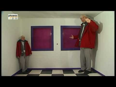 Optische Täuschungen. Was sieht? Auge oder Gehirn?