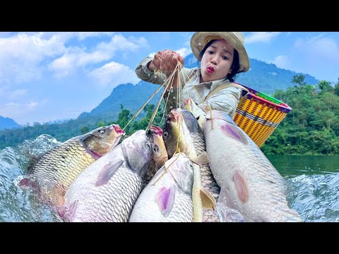Traditional fishing techniques - Single mother catches giant fish using golden bamboo tube.