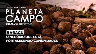 Miniatura do vídeo
