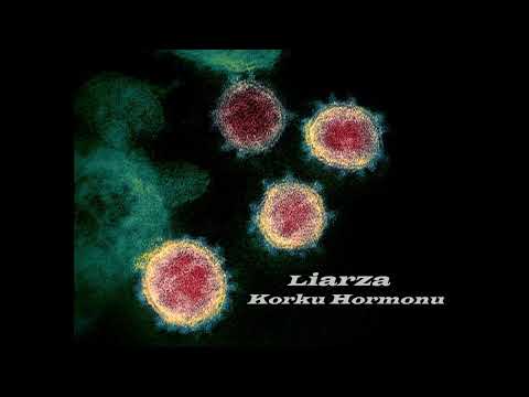 Liarza - Korku Hormonu