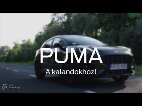 Ford Puma   Ford Petranyi