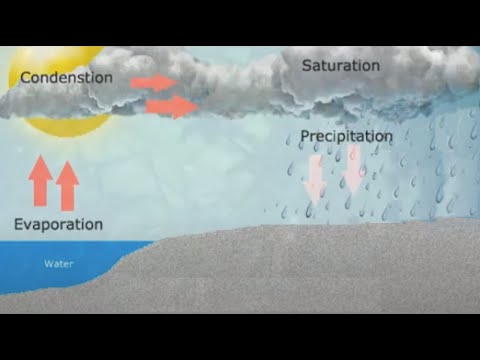 download lagu mp3 mp4 Precipitation bersetzung, download lagu Precipitation bersetzung gratis, unduh video klip Precipitation bersetzung