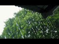 Dil Dhoondata Hai दिल ढूंढता है Song By Bhupinder Singh And Gulzar Playing In 