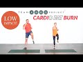 Low Impact Home Cardio Workout For ALL Fitness Levels