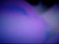 Madonna Music