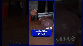 سيول مفاجئة تغمر منازل بالسوق الجديد في بني ملال thumbnail