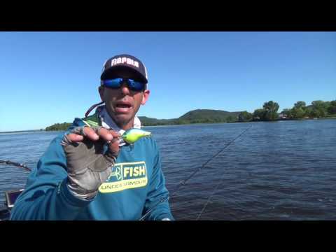 Match the hatch with Mike Iaconelli