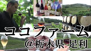 【森高千里の名曲、「渡良瀬橋」のエリア…栃木県 足利市のワイナリー訪問！！】【圧巻の傾斜、葡萄畑、野生酵母での発酵ワイン、沿革含め、唯一無二の日本ワインを造る、ココ・ファーム・ワイナリー！！】