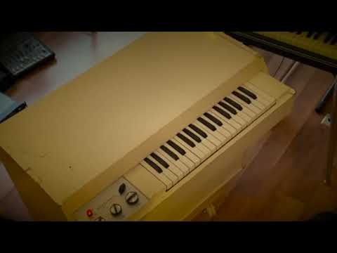Mellotron - Strawberry Fields - Marco Hoogland