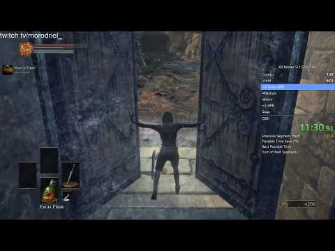 SL1 All Bosses Glitchless [3:32:54 RTA]