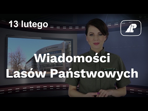 Wiadomości Lasów Państwowych #11