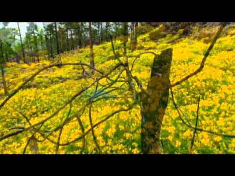 DelaRed - Away My Heart .mp4