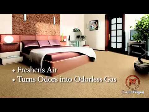 How To Avoid Carpet Stains