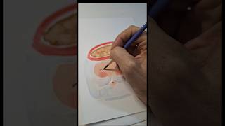 Christmas card  #watercolorpainting  #painting #short