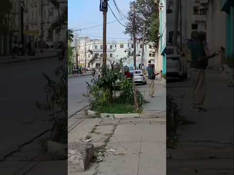 CALLE AYESTARAN, MUNICIPIO CERRO #lahabana #cuba #travel #cuba2025 #cubahoy