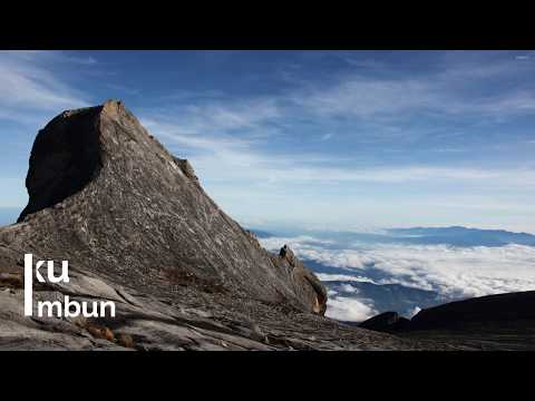 Sawo Ku Tambalut Ku-Bonaventure J  Matimbun[LYRICS]