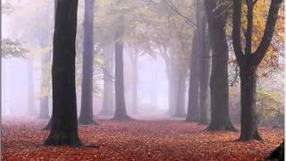 David Sanborn / Smoke Gets In Your Eyes