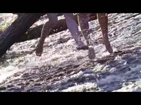 Weeping Willows - I give you the morning (Jag ger dig min morgon)