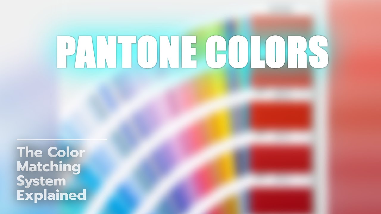 Discover Pantone Colors! 🎨🤔