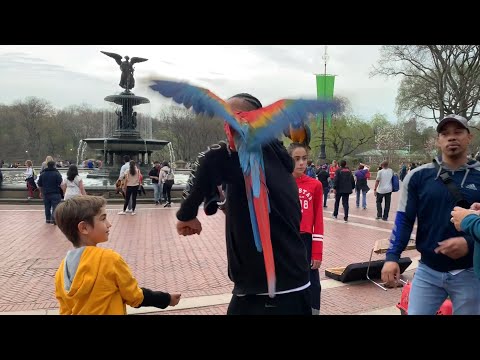 Walking Tour Bethesda Terrace & Fountain Central Park NYC