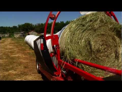 download lagu mp3 mp4 Edible Hay Wrap, download lagu Edible Hay Wrap gratis, unduh video klip Edible Hay Wrap