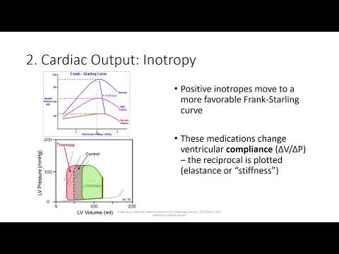 Cardiovascular Keyword Review - (Dr. Pinault)