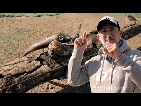 Hänger lösen: Die 5 Tricks für Steinpackung, Buhne & Holz