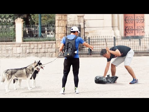 中國街頭當眾虐狗，會有人制止嗎？