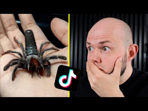 CO TO ZA BYDLĘ!? - REAKCJA NA FILMY OD WIDZÓW! cz. 3