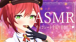 開始 - 【ASMR】クリスマスケーキに使うチョコを切り刻む配信【石狩あかり/あおぎり高校】