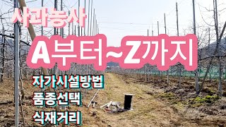 2024년 사과농사 A부터~Z까지/사과밭 자가시설방법,품종선택,식재거리
