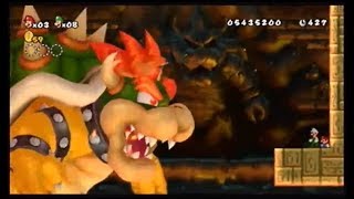 【最終決戦】赤と緑と時々おかん!?/女2人でNewスーパーマリオブラザーズWii【実況終】