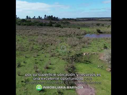 Vendo Campo de 4has en Migues Rural