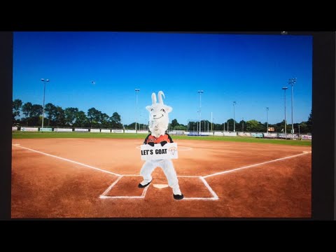 Onze Gezellen vs Quick