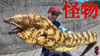 漁港の堤防で信じられない生物が…