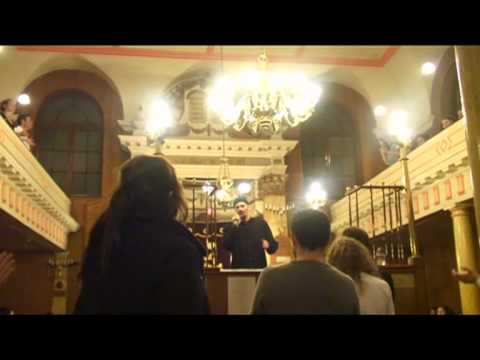 eprhyme "or zarua" tehillim - psalm 97