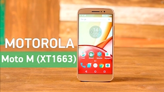 Motorola Moto M Gold (PA5D0057UA) - відео 2