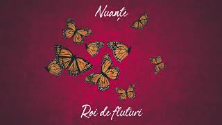 Download lagu Nuanțe - Roi De Fluturi mp3