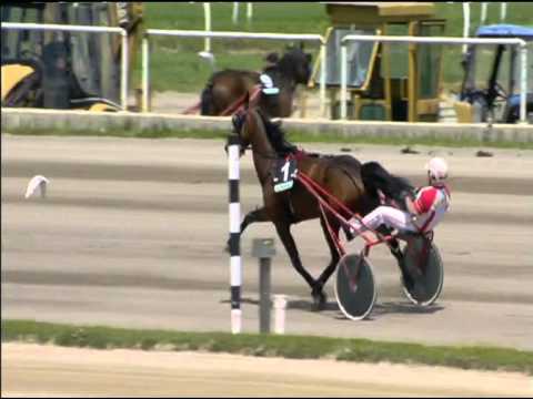 Trotto 03/05/2015 - 1° corsa Speed Race Batteria A