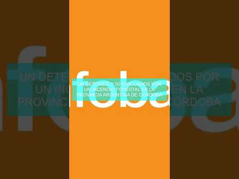 Un detenido y 50 evacuados por un incendio forestal en la provincia argentina de Córdoba